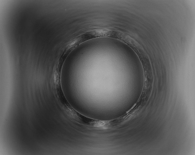 X0000087700096200705111411