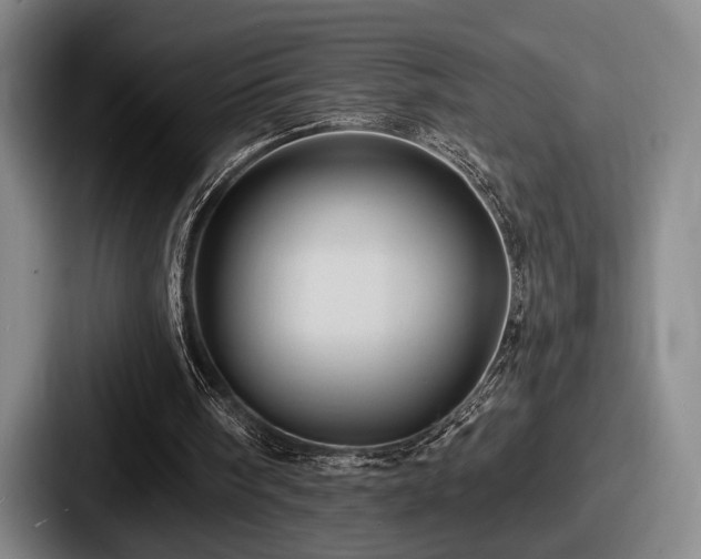 X0000087700098200705111410