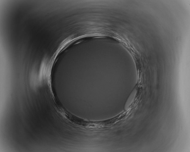 X0000087700099200705111410