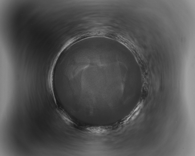 X0000087700100200705111410