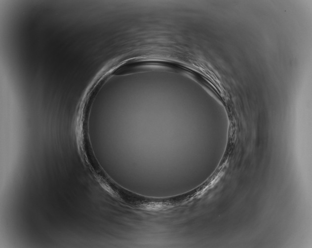 X0000087700101200705111410