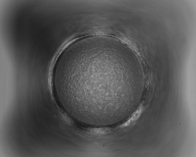 X0000087700103200705111410