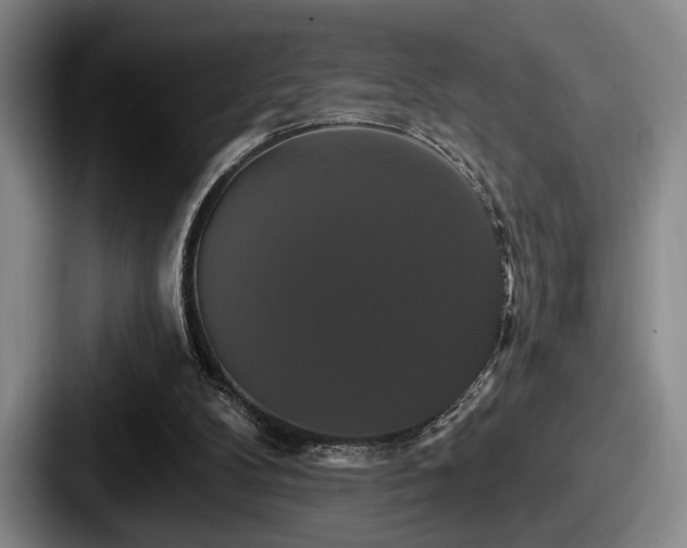 X0000087700104200705111410