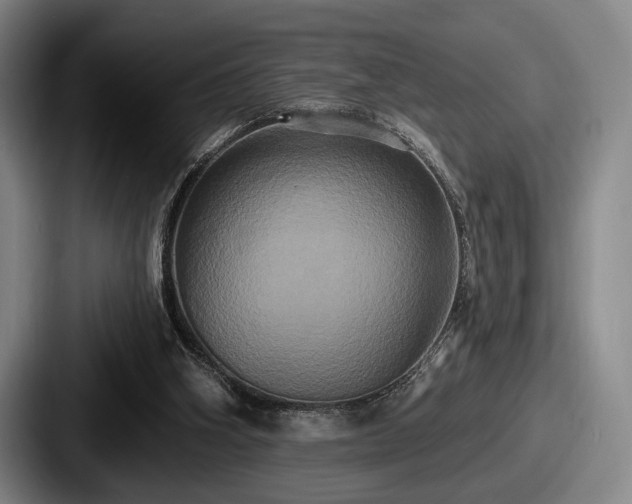 X0000087700106200705111410