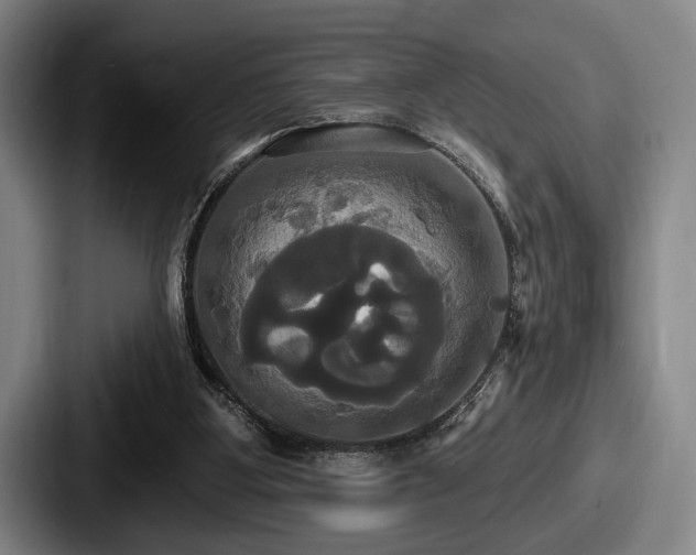 X0000087700107200705111410