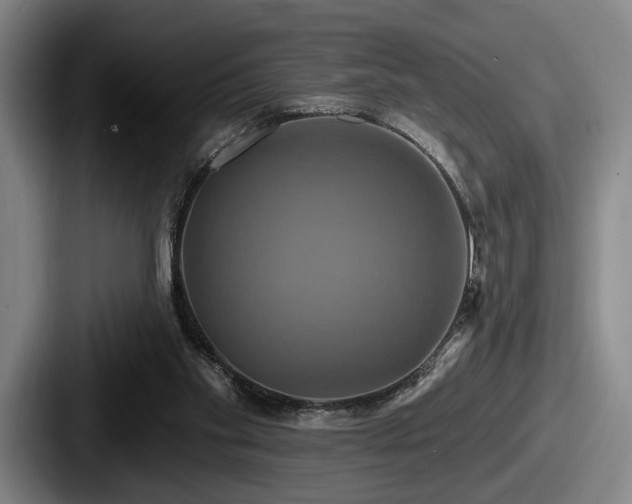 X0000087700109200705111410