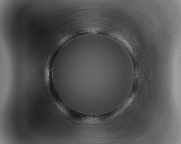 X0000087700110200705111410