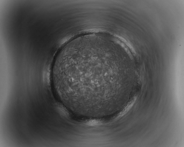 X0000087700111200705111410