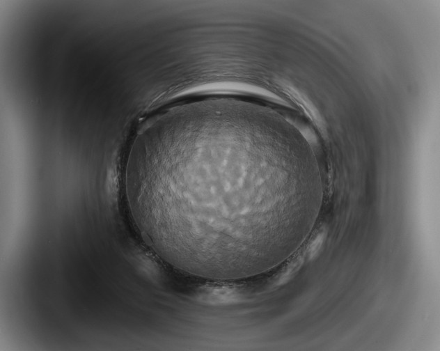 X0000087700113200705111410