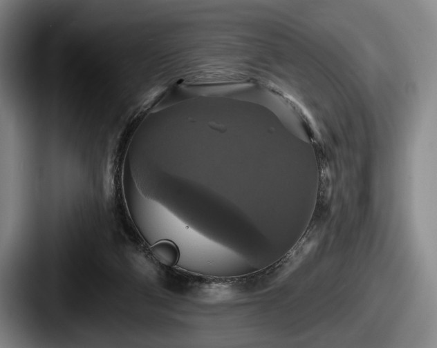 X0000087700114200705111410