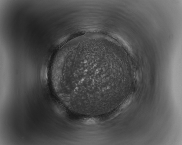 X0000087700115200705111410