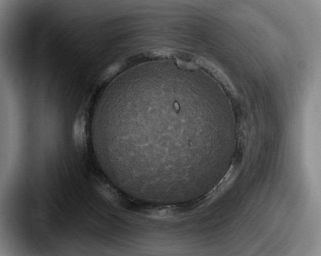 X0000087700116200705111410