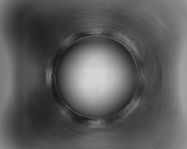 X0000087700118200705111410