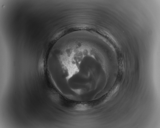 X0000087700119200705111410