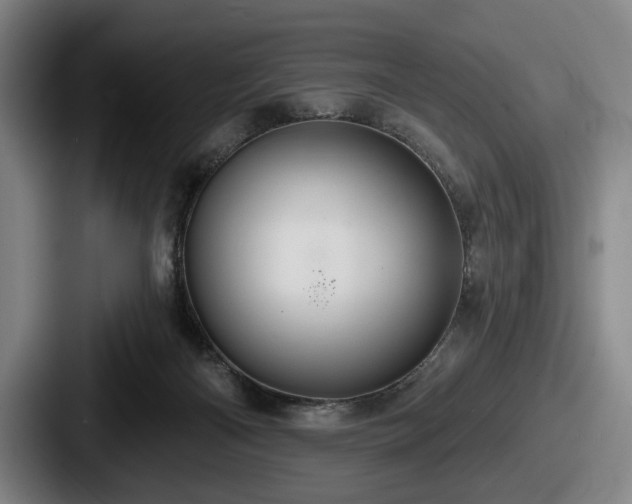 X0000087700122200705111410