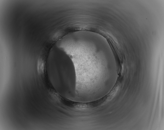 X0000087700123200705111410