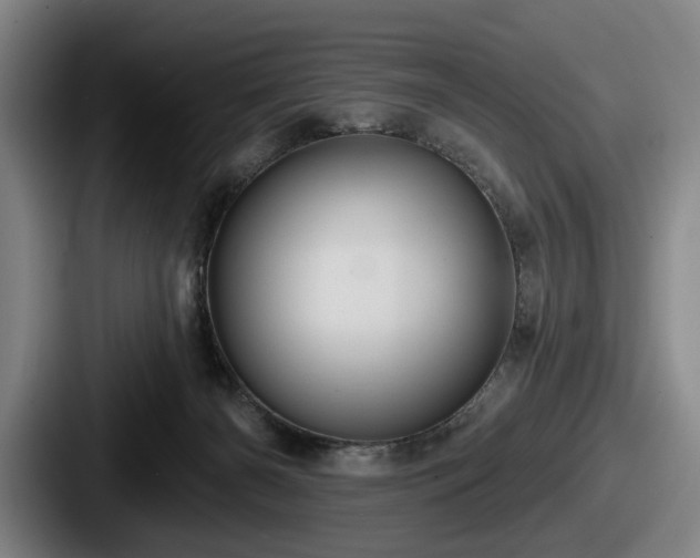 X0000087700126200705111410