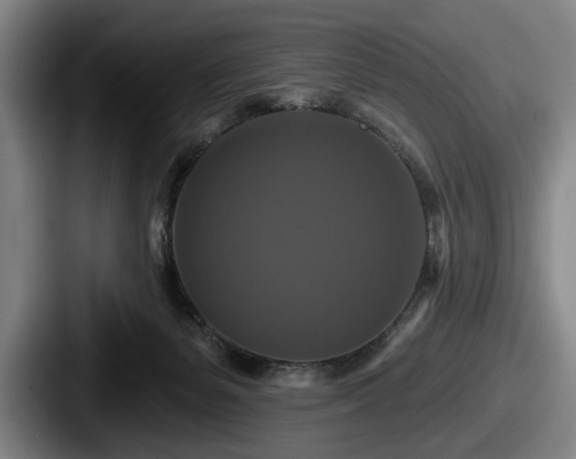 X0000087700127200705111410