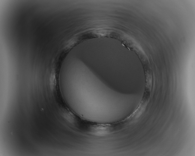 X0000087700128200705111410