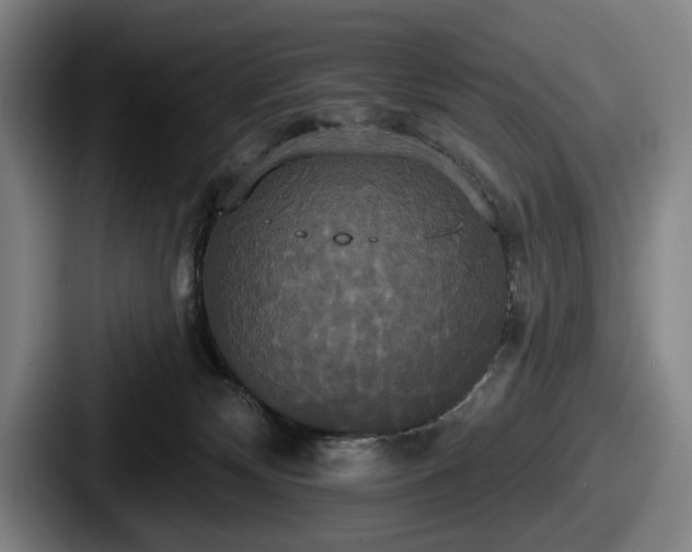 X0000087700132200705111410