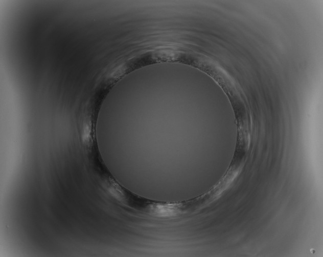 X0000087700134200705111410