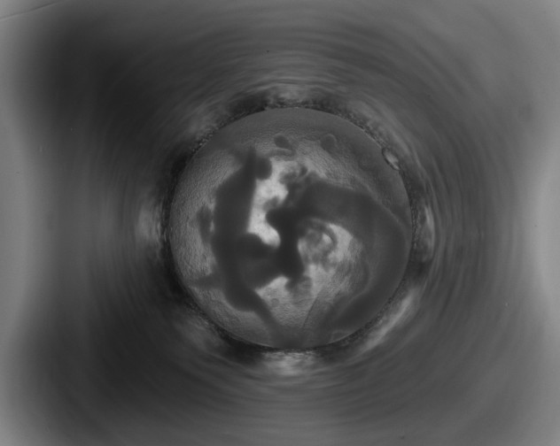 X0000087700135200705111410