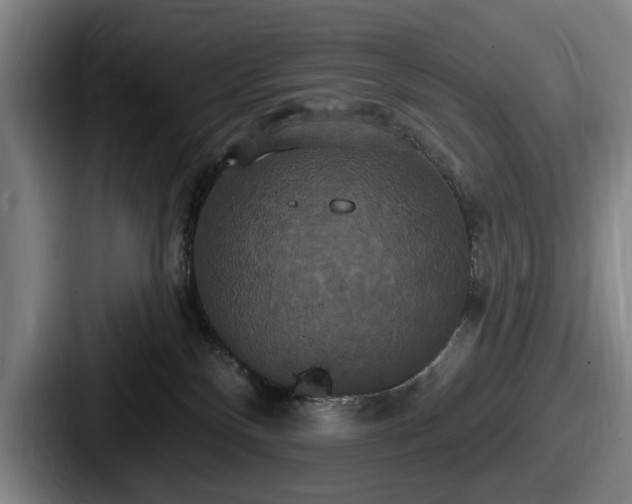 X0000087700136200705111410