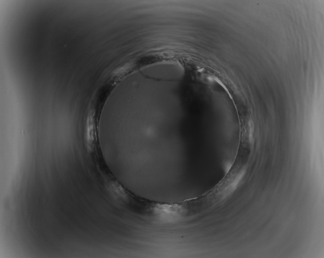 X0000087700137200705111410