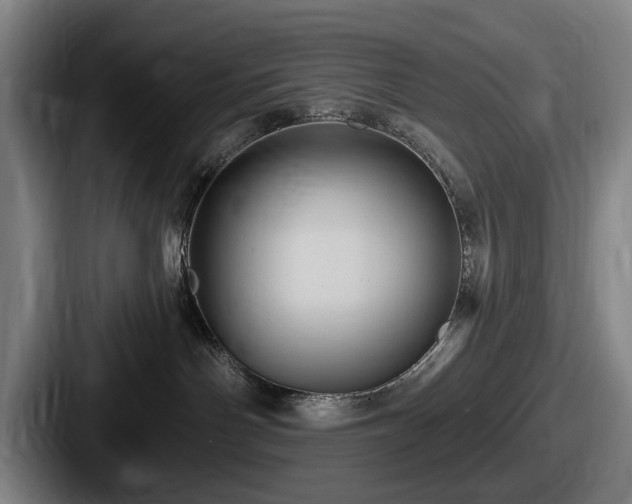 X0000087700142200705111410