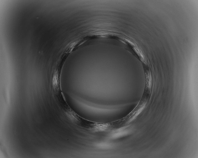 X0000087700143200705111410