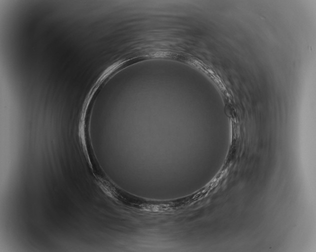 X0000087700147200705111409