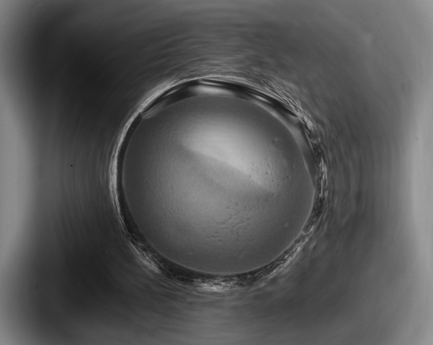 X0000087700148200705111409