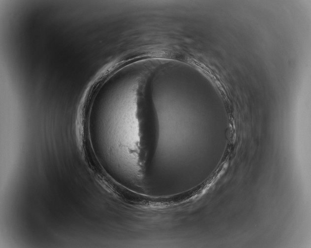 X0000087700149200705111409