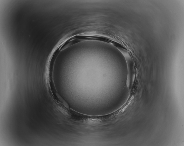 X0000087700150200705111409