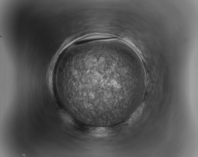 X0000087700151200705111409