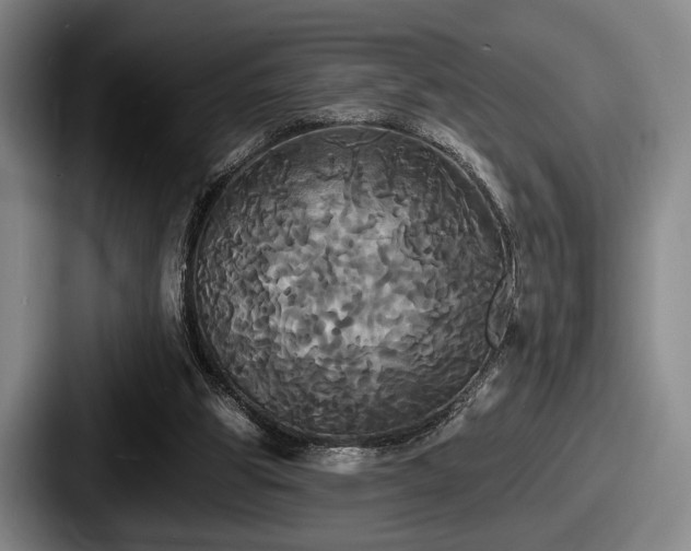 X0000087700153200705111409