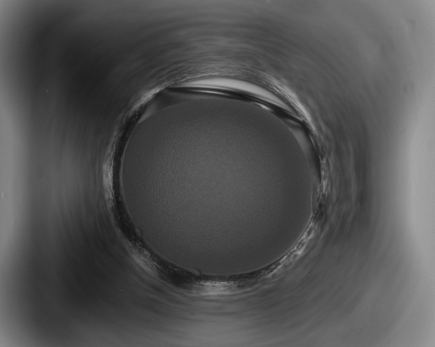 X0000087700154200705111409