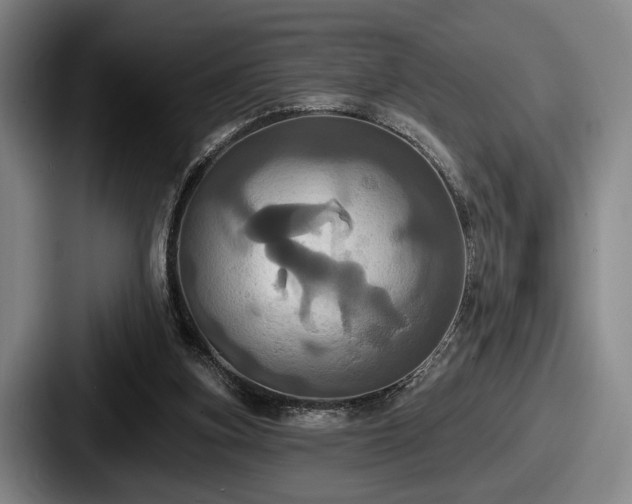 X0000087700155200705111409