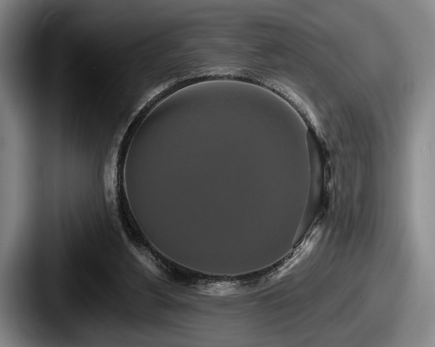 X0000087700156200705111409