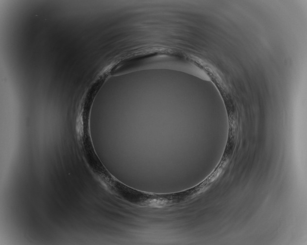 X0000087700158200705111409