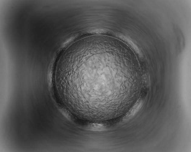 X0000087700159200705111409