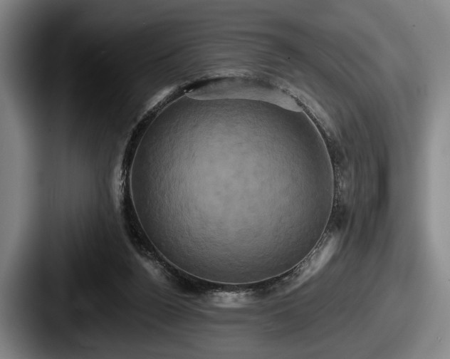 X0000087700160200705111409