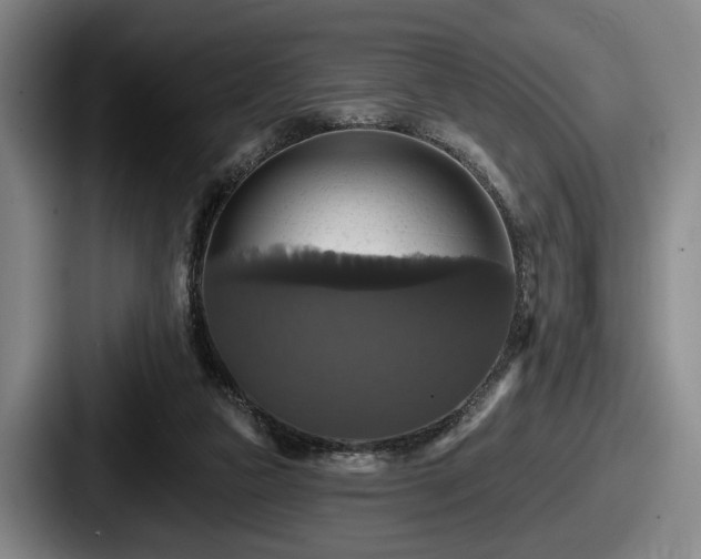 X0000087700161200705111409