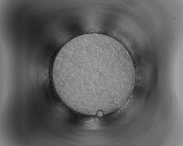 X0000087700162200705111409