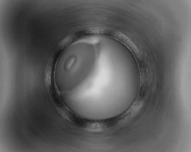 X0000087700163200705111409