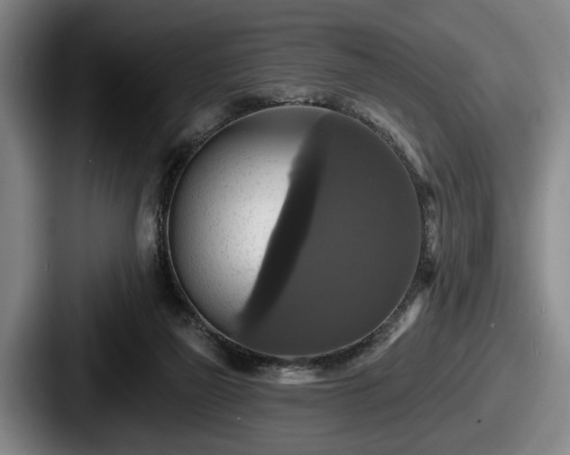 X0000087700165200705111409