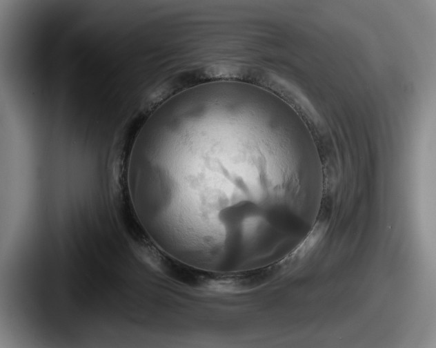 X0000087700171200705111409