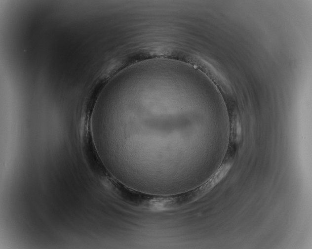 X0000087700172200705111409