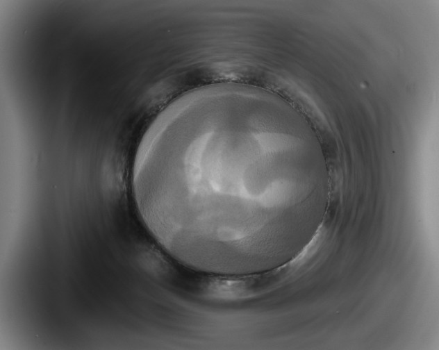 X0000087700174200705111409