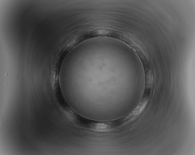 X0000087700176200705111410